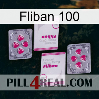 Fliban 100 33